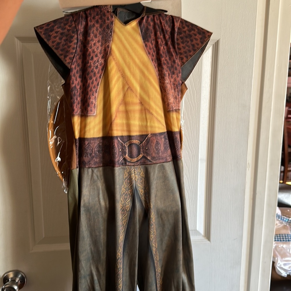 Disney Raya Costume - Picture 2 of 8